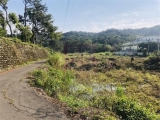 新埔鎮寶石國小工業用地(可分割)-春明地產-035551111