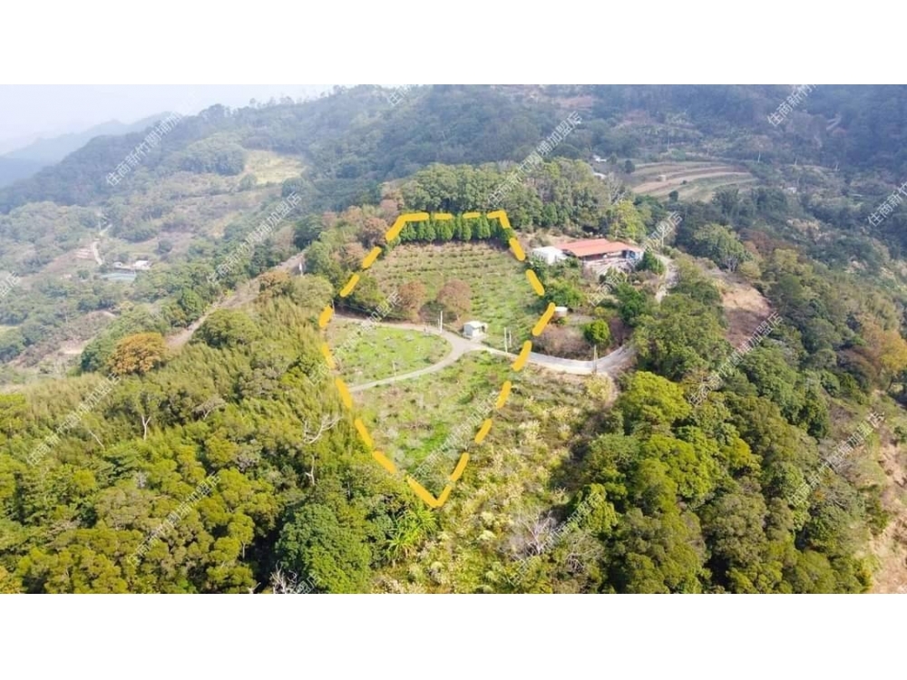 草莓故鄉千坪優質農地