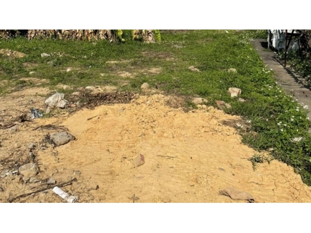 新竹縣適倉儲農地+丙建丁建