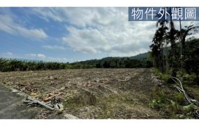 花蓮鳳林❤️南平❤️1955坪農地 開價：698萬❤️每坪3600元❤️ 土地：1955.85坪 面臨路寬：5公尺	 面