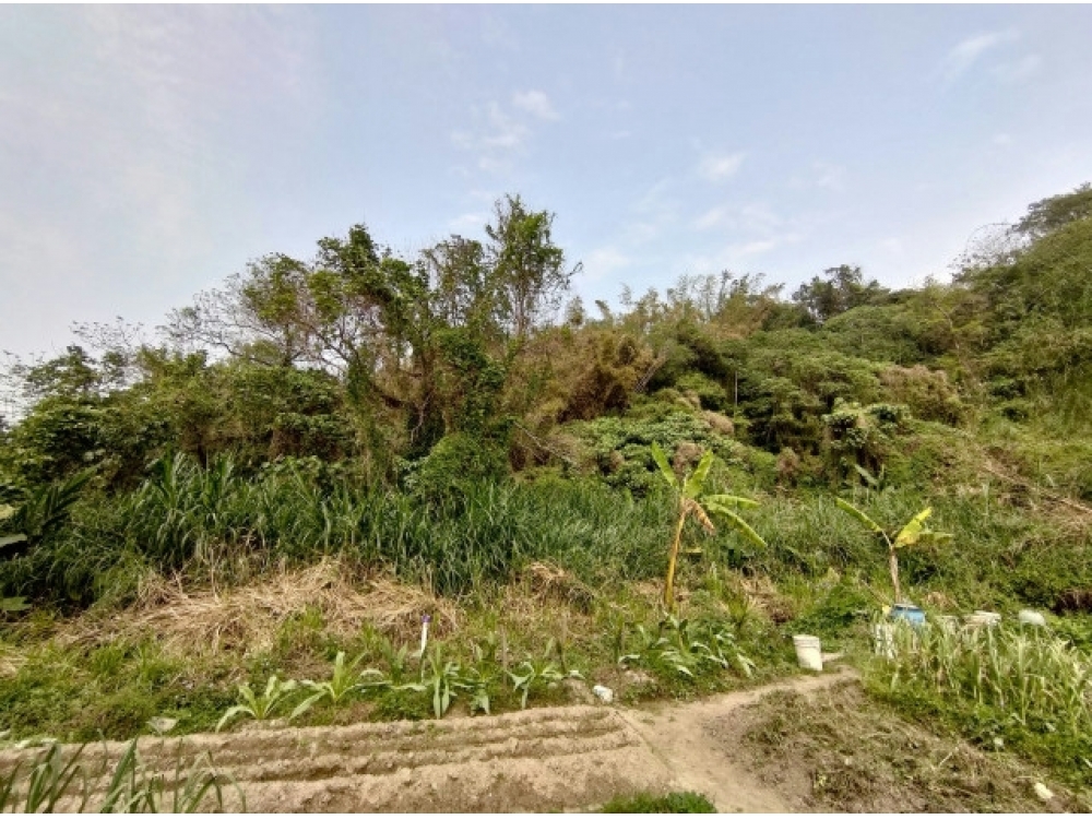 大溪康莊路旁農地