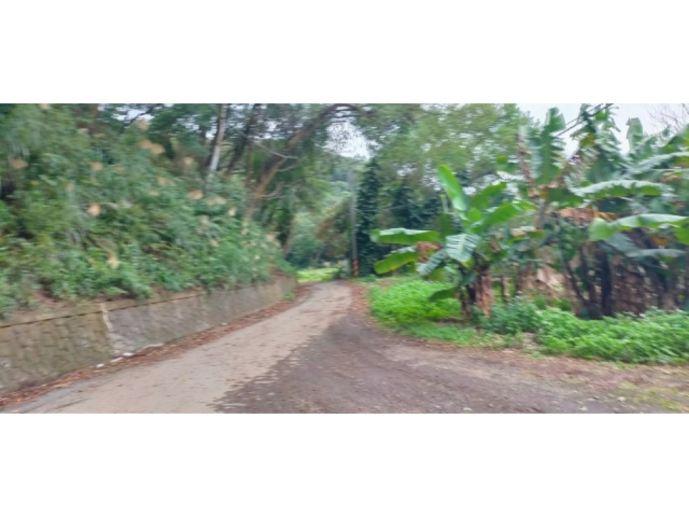龜山近威天宮都內小坪分割農地