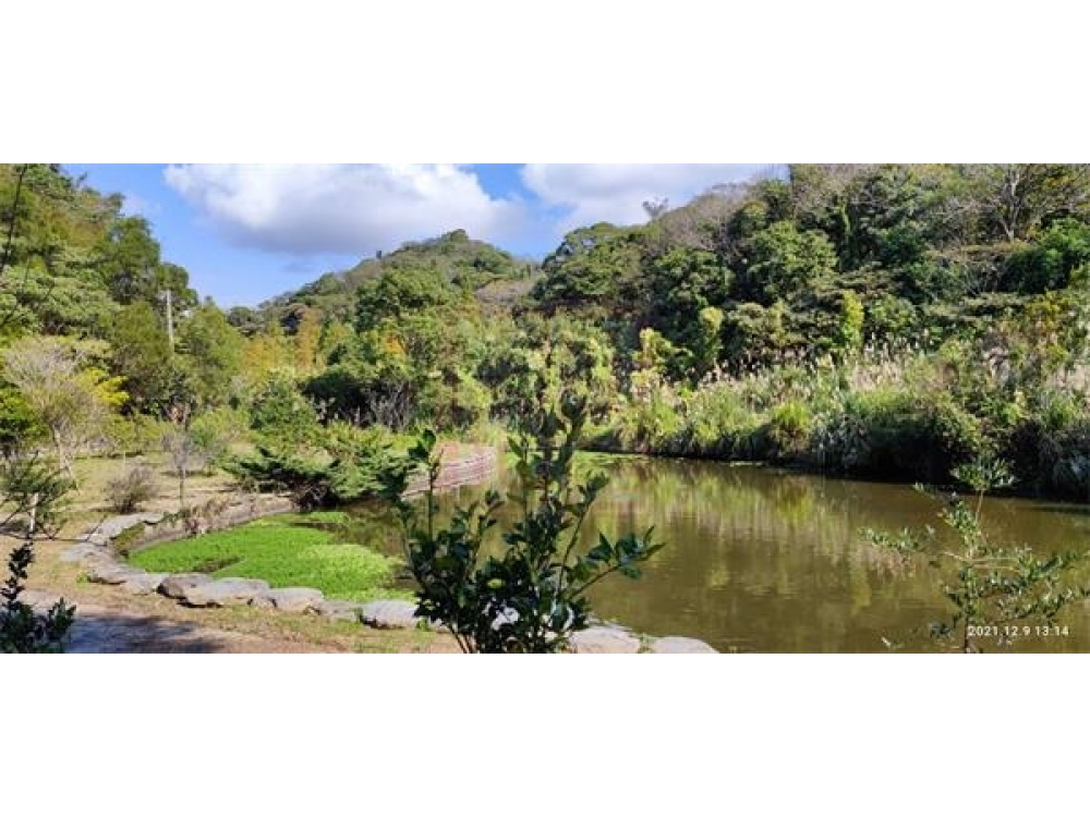新埔大面積農牧用地+丙建-春明地產-035551111