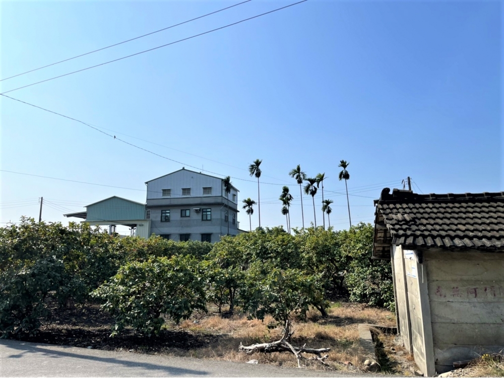 九芎農地4