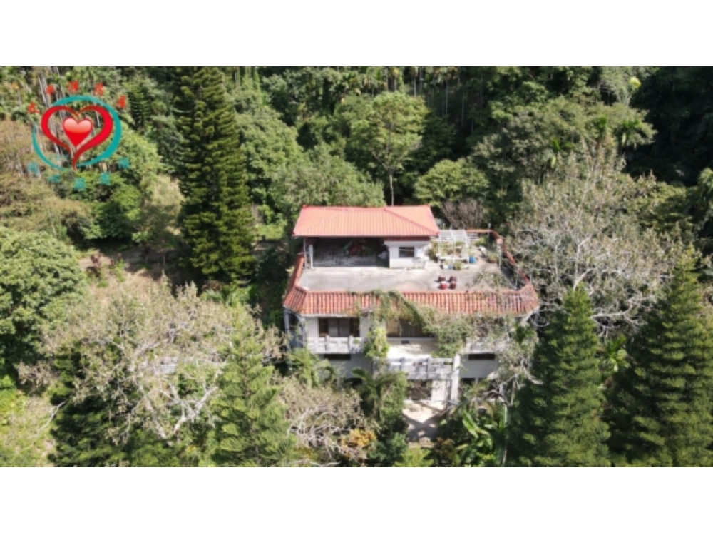 三峽總裁會館秘境山水莊園3127坪