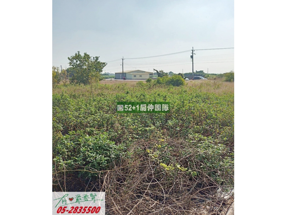 嘉義建地-鹿草龜佛山建地