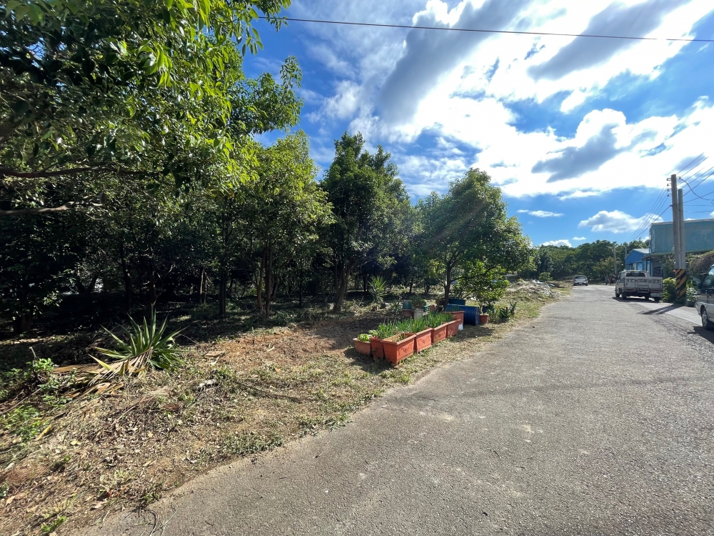 中壢交流道增值美農地