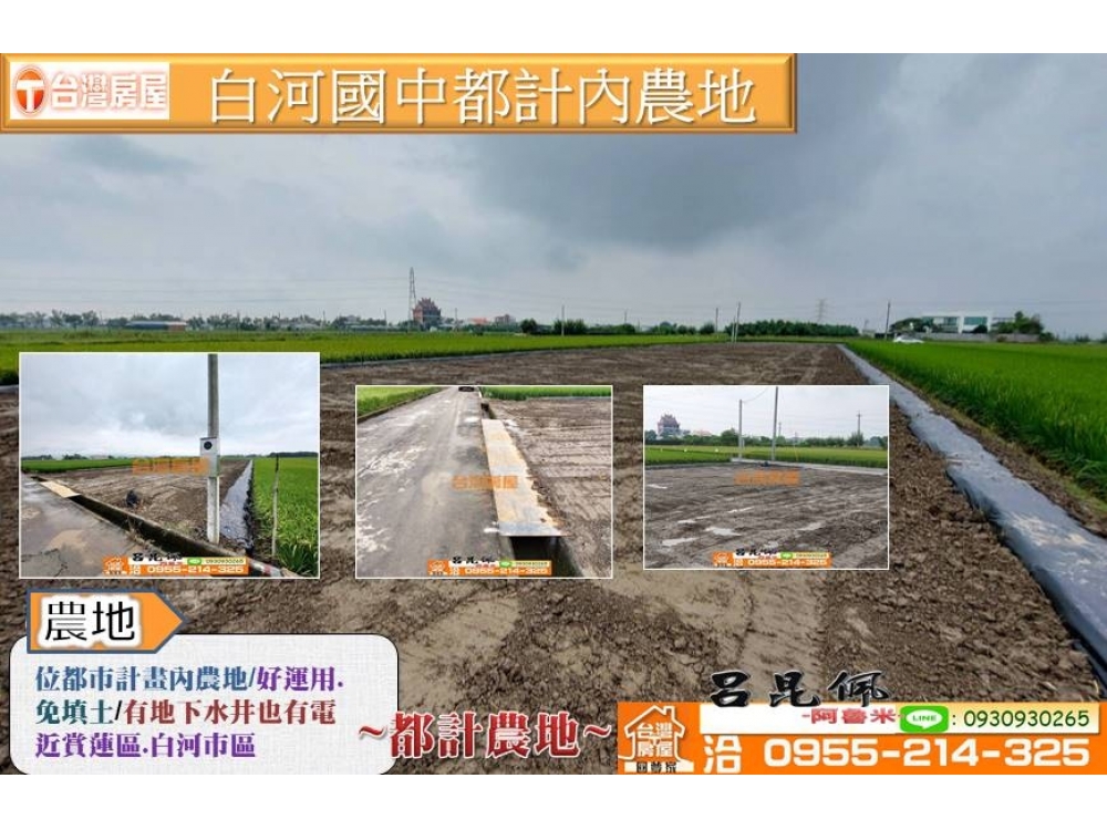 白河國中都計內農地~台灣阿魯米