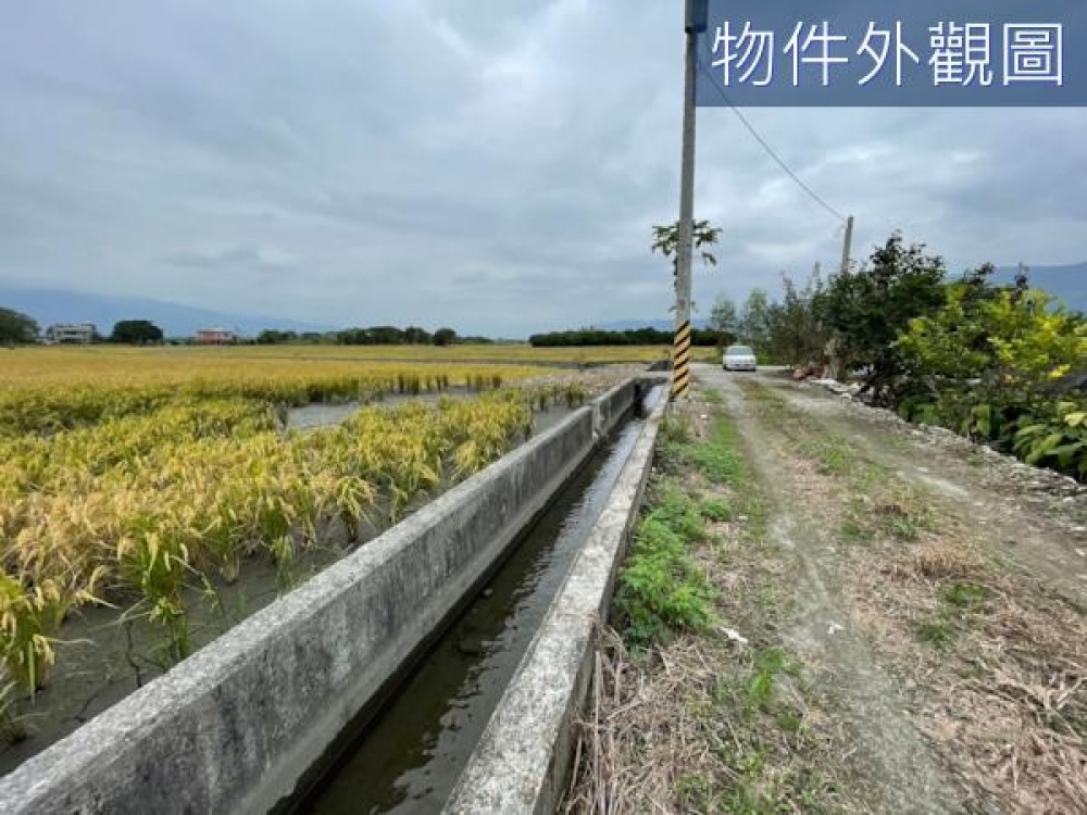 花蓮鳳林❤️一甲❤️大面寬❤️農地