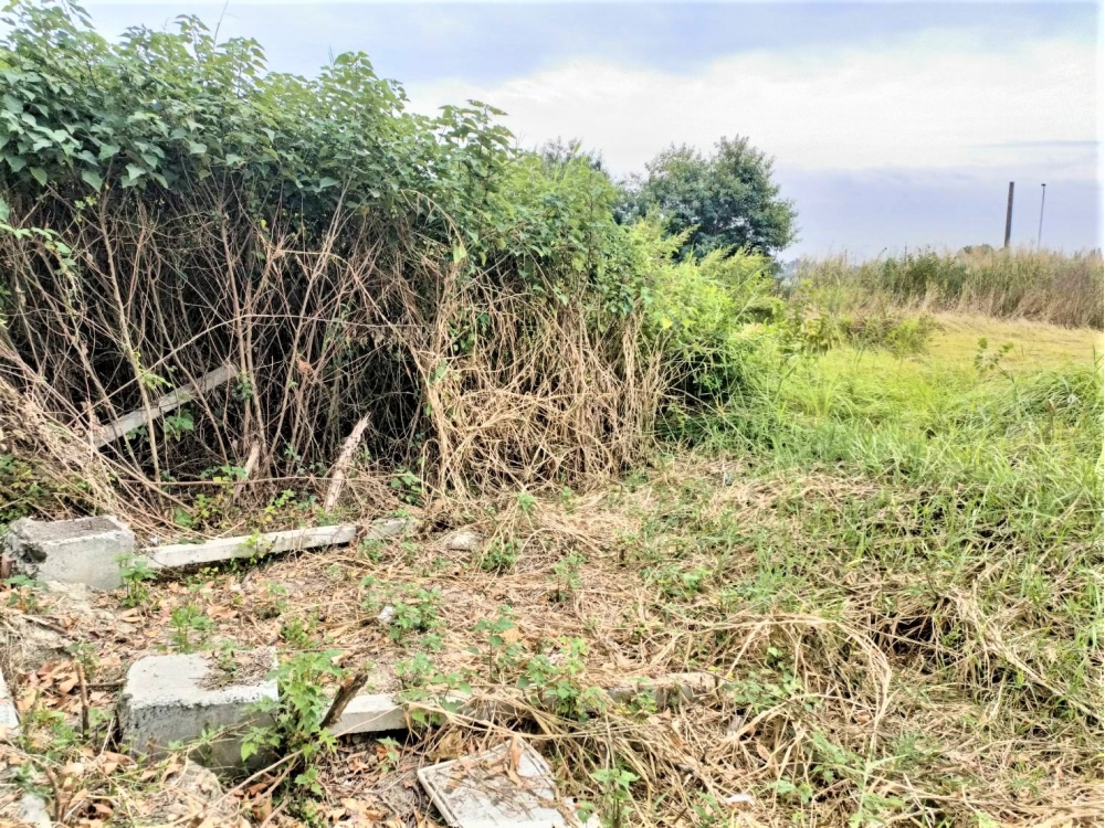 北港新興建地