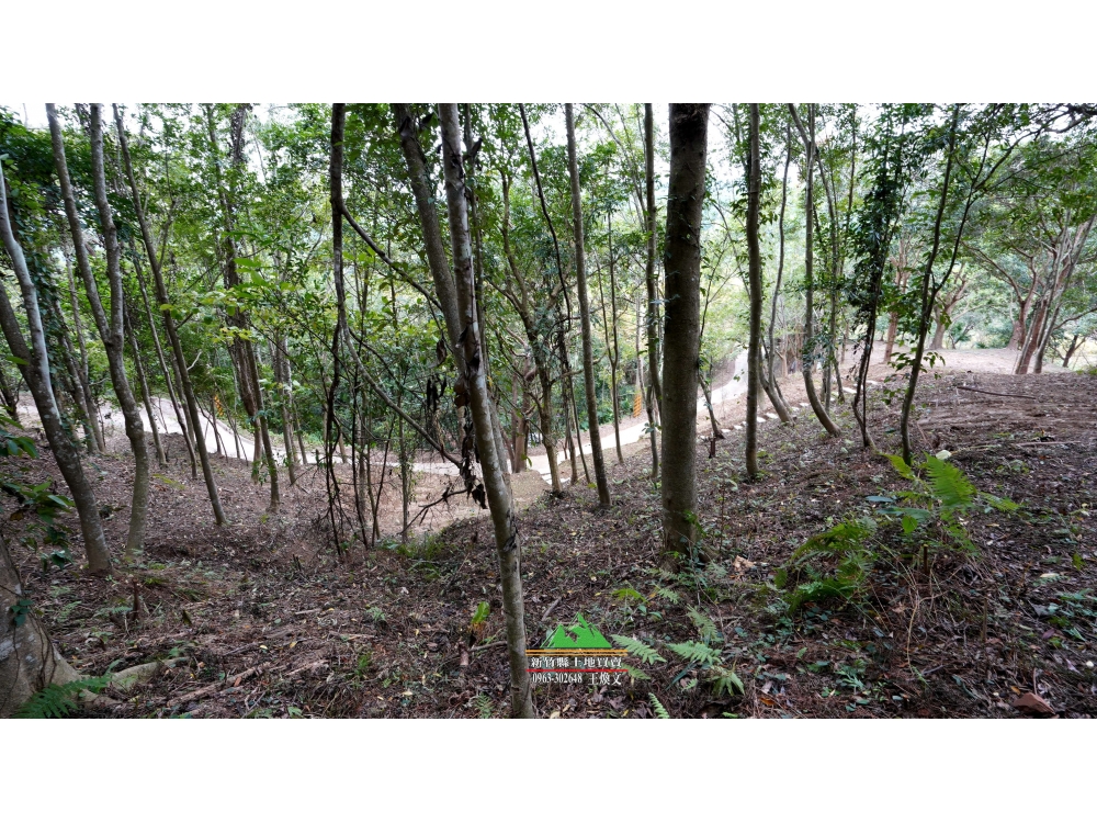 新竹縣北埔鄉南埔綠林天然景觀地CP值頗高的土地B區土地1014坪售價680萬