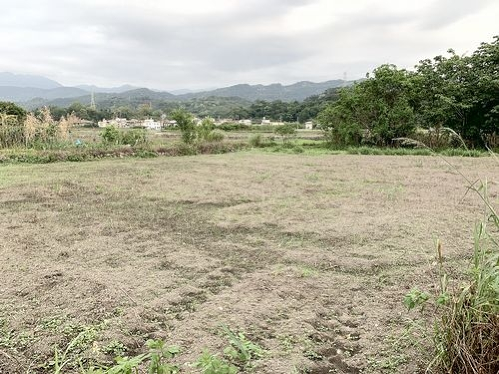 南埔美農地