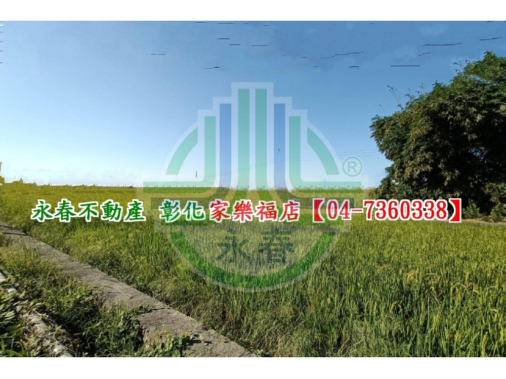 埔塩145米大面寬田~洽永春
