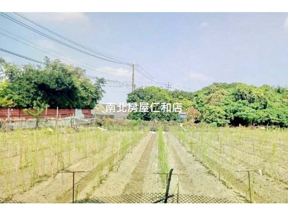 安定農會三角窗農地