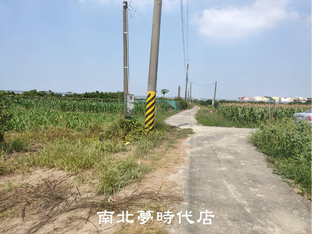 麻豆柚子園農地