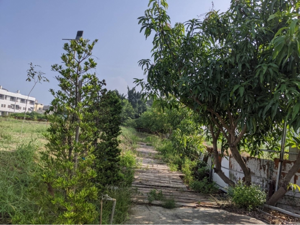 新市中正路永就近甲美農地
