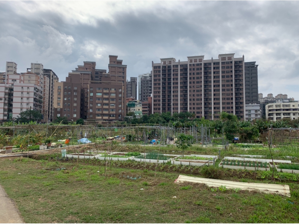 G12和平段農地