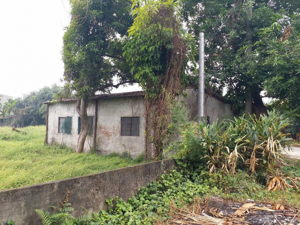 內埔豐田建地c12