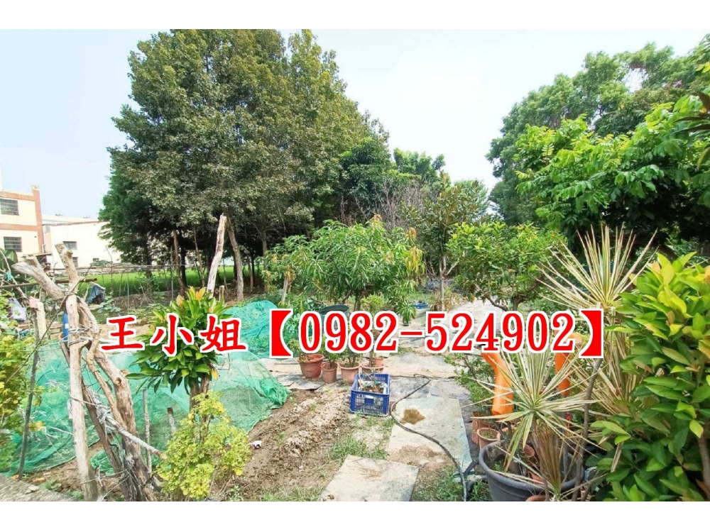 東區一期美田~洽黃小姐0980-233766