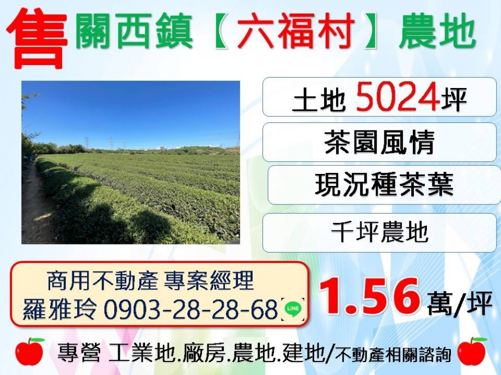 關西鎮【六福村】茶園風情千坪農地