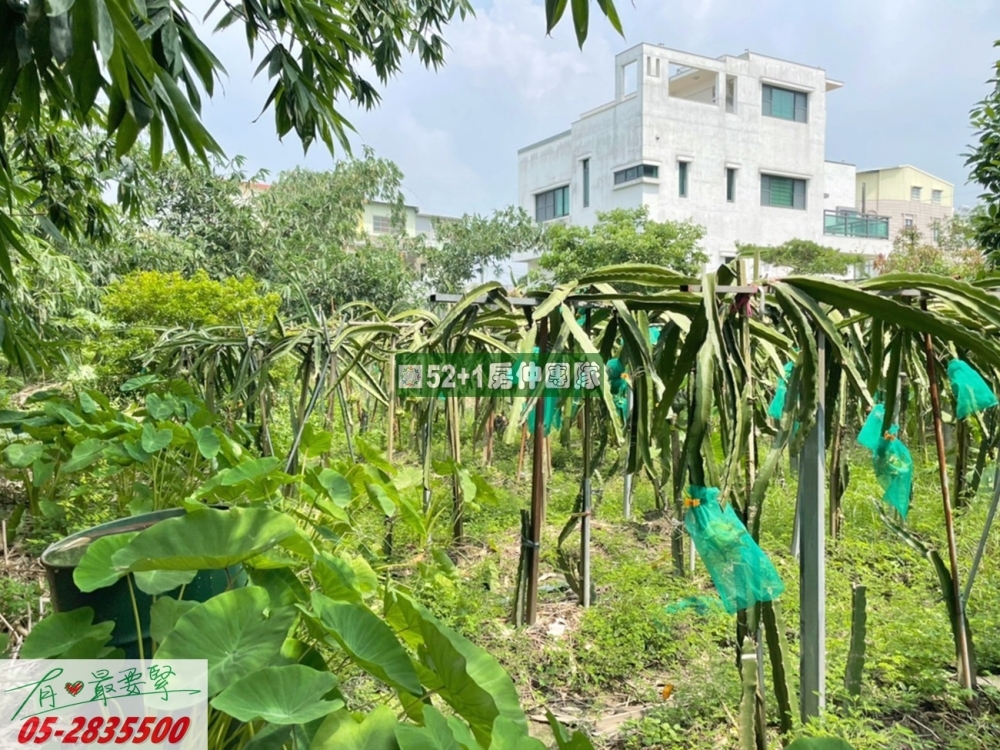 嘉義建地-梅北國小旁漂亮建地