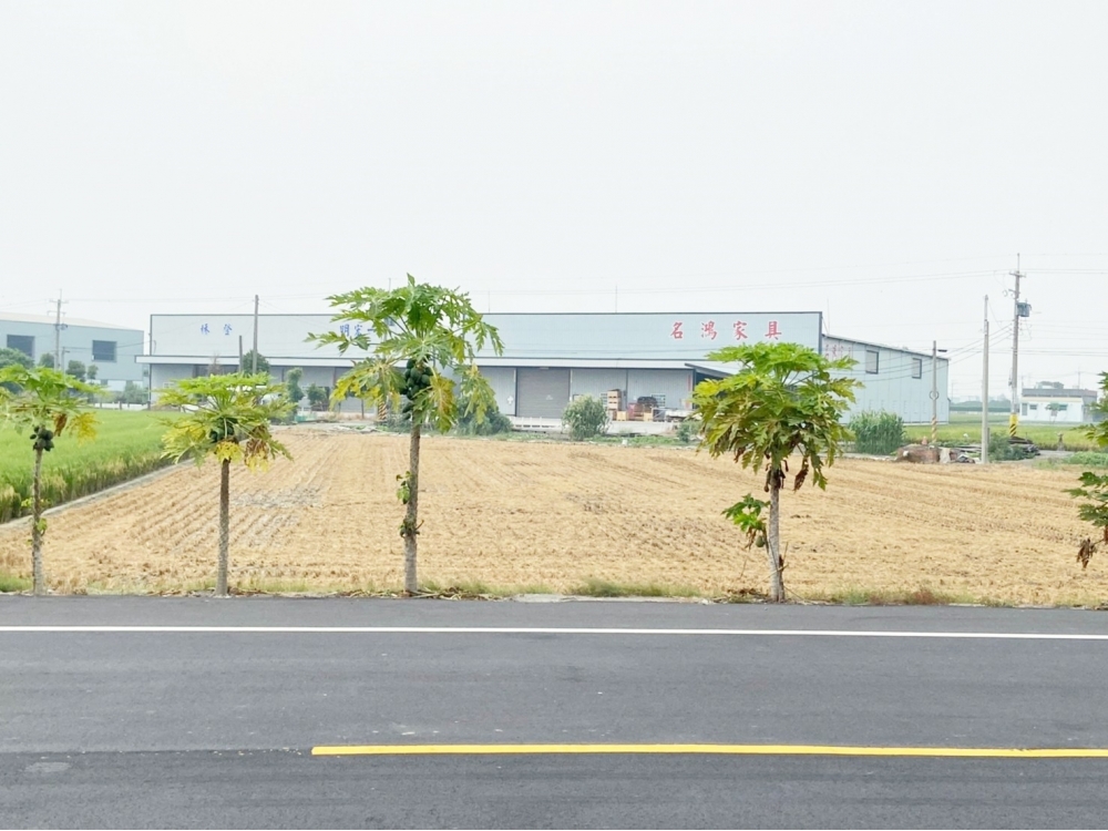 福興番花路雙面路美田