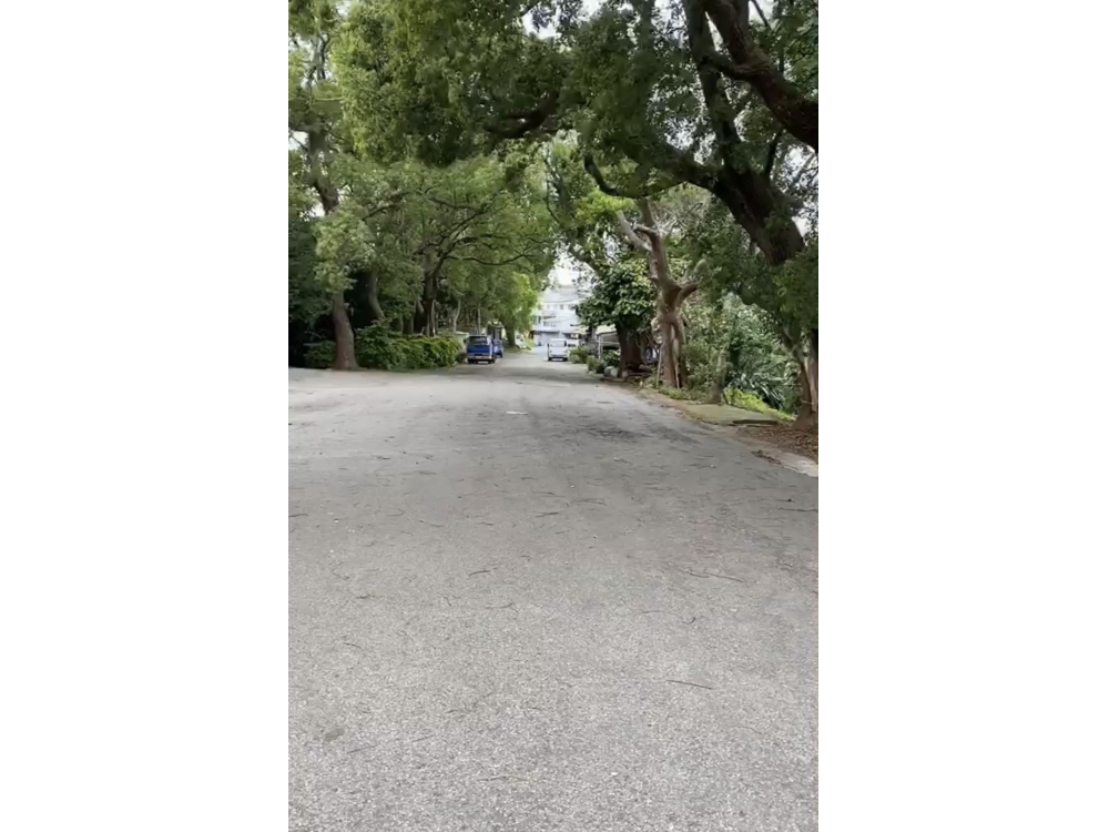 苗栗市3塊丁種建地