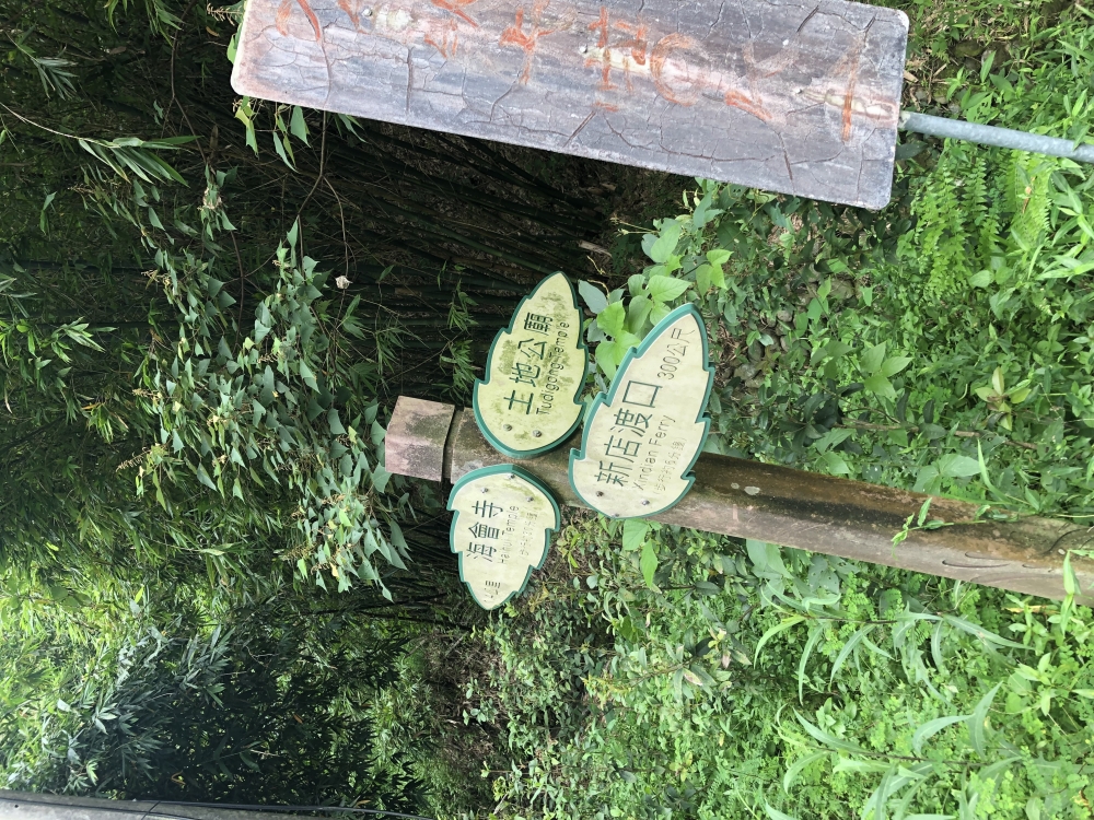 新北新店碧潭風景區優良建地(多筆鄰近土地