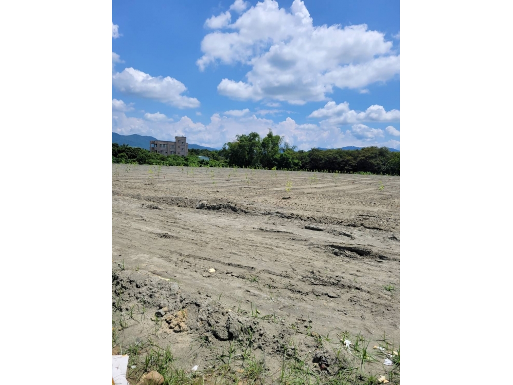 玉井台20線大馬路旁3.6分農地