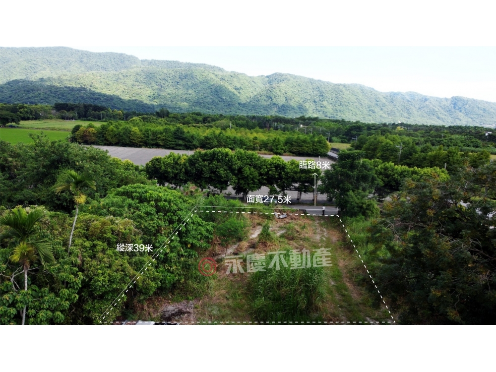 花蓮壽豐❤️綠色隧道旁❤️方正建地 