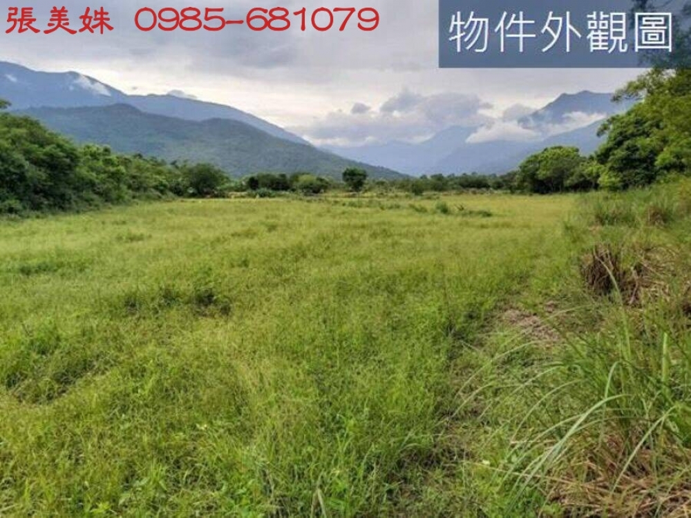 壽豐鄉忠孝段便宜一甲多農地 