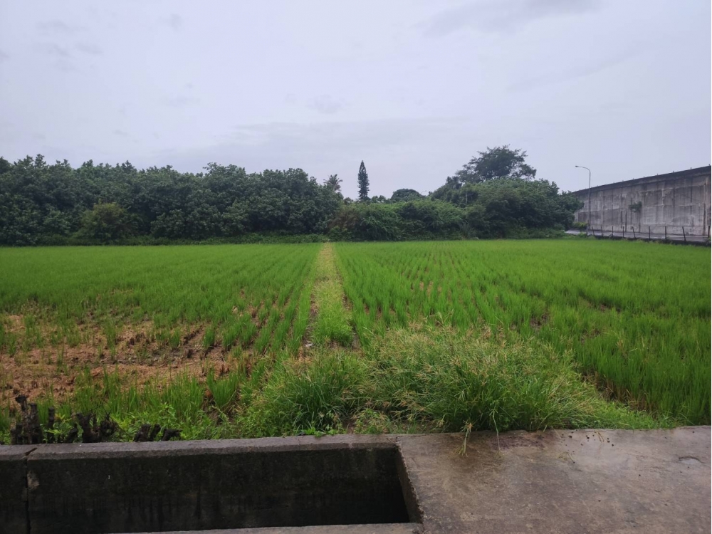 ✍竹北市近台15線美田出售-春明地產-035551111
