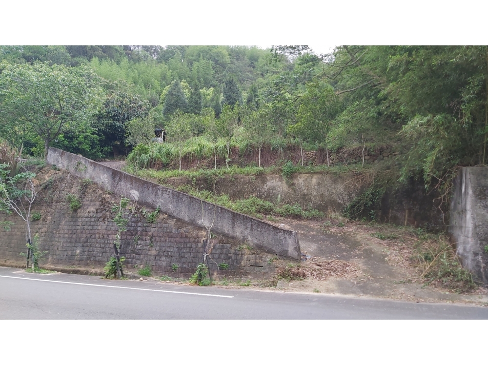 大坑農地