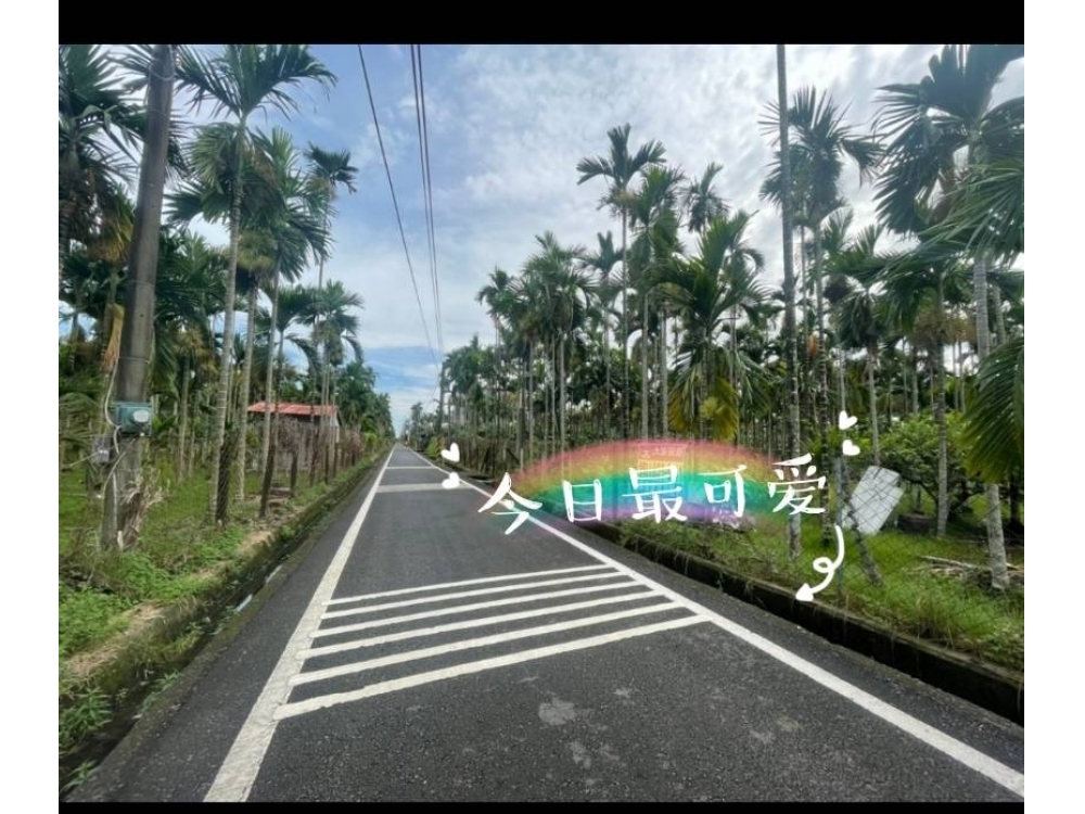 內埔傳家都內農地