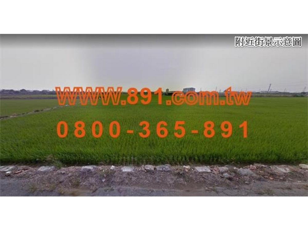 民雄竹子腳方正農地-891嘉義房地產