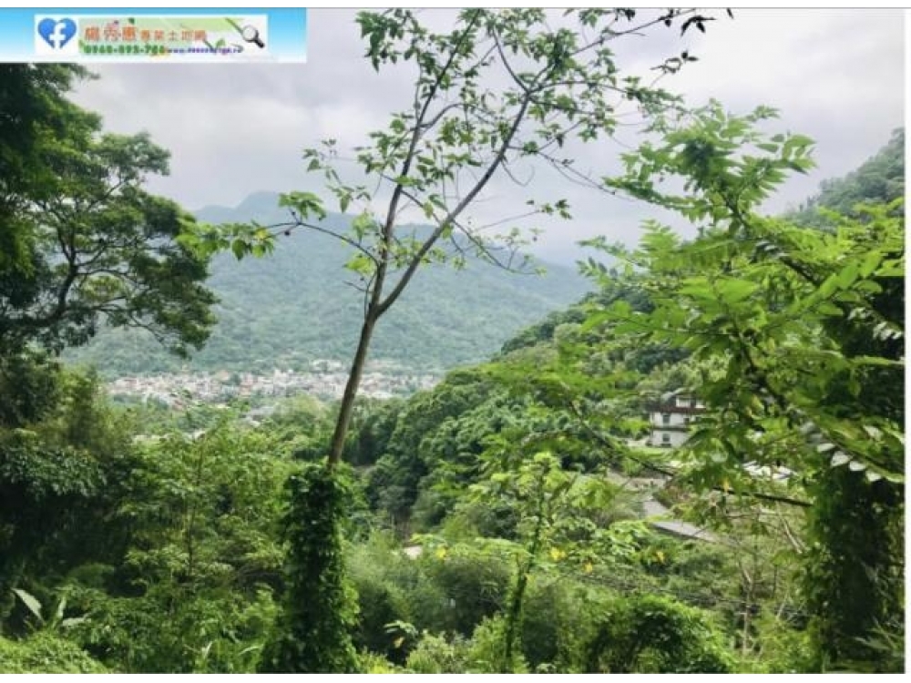 內灣近大穚景觀地1220坪新 竹土地買賣 楊秀惠