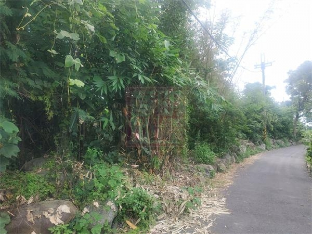 ✍近橫山鎮市區平整農業地-春明地產-035551111