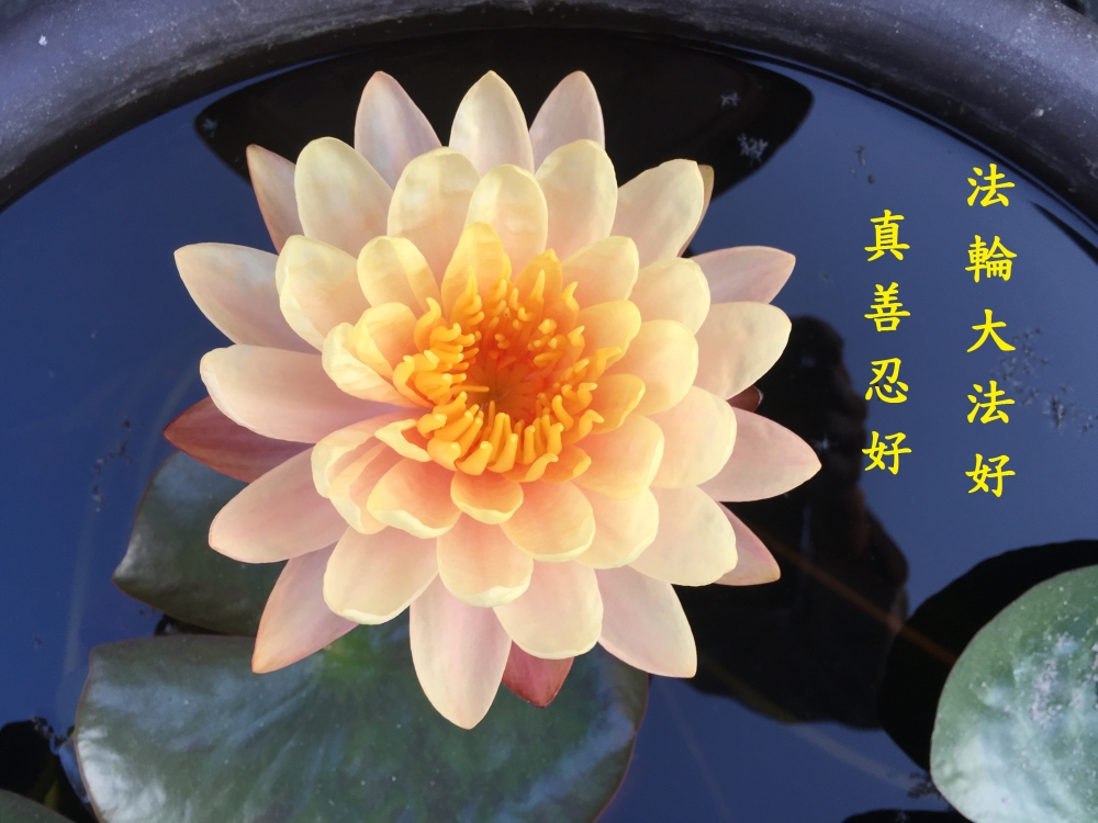 元長極明三角農地