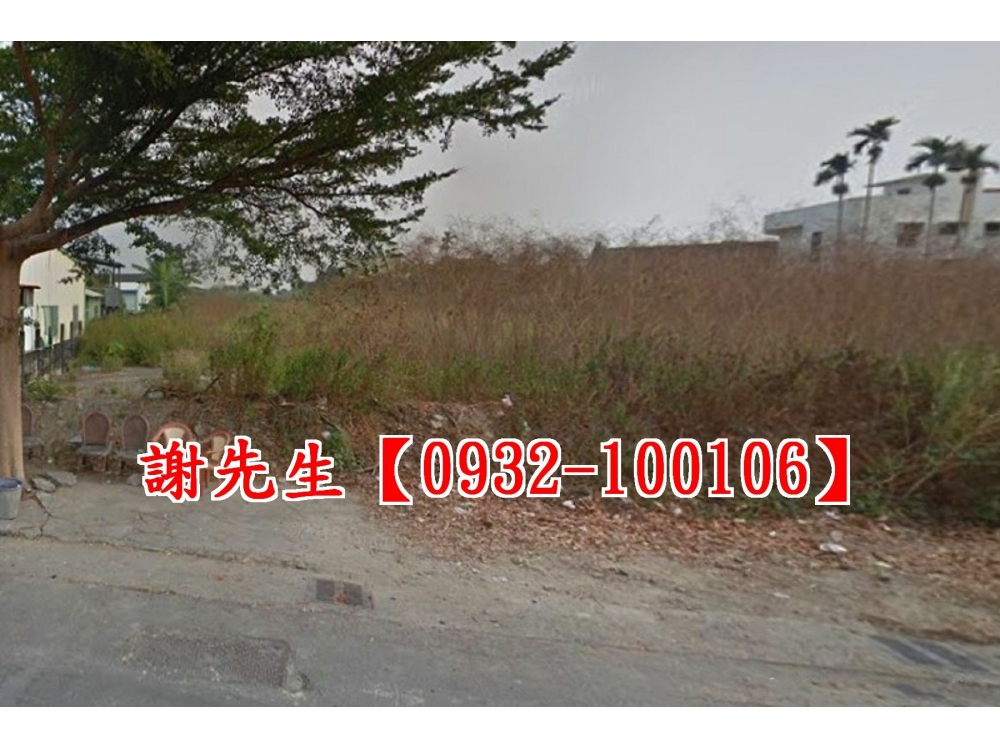 雲林莿桐大美國小田