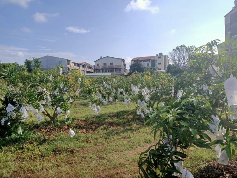 玉井市中心精華建地