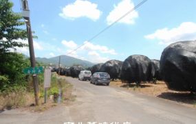 高雄六龜黑珍珠蓮霧園4分3