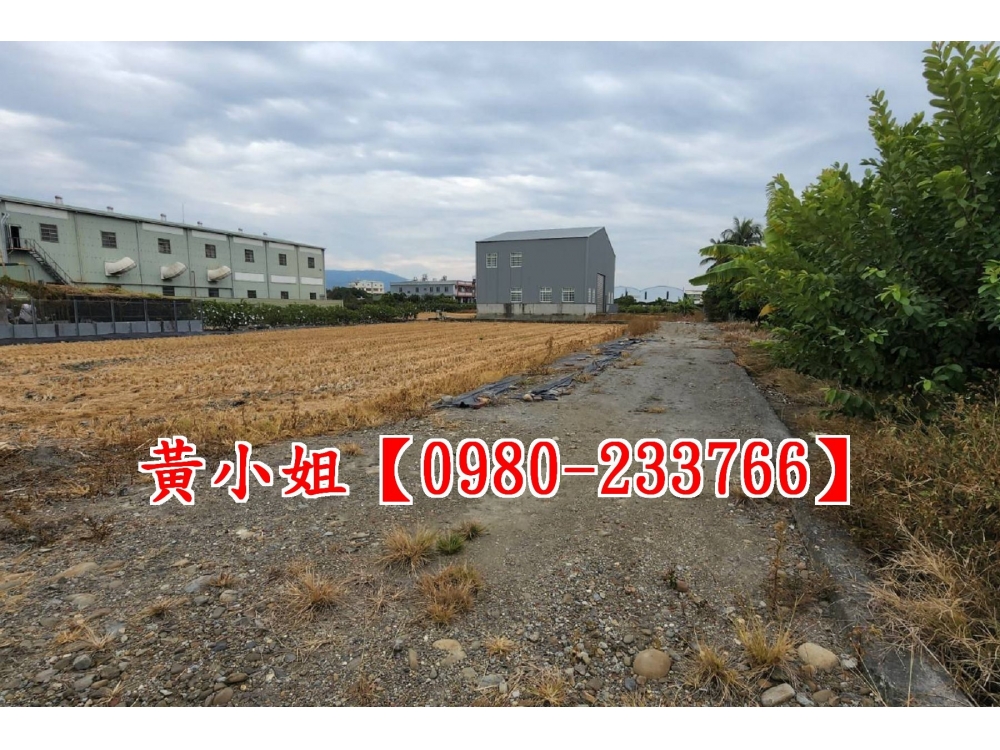 社頭新雅路合法農舍-洽0980-233766