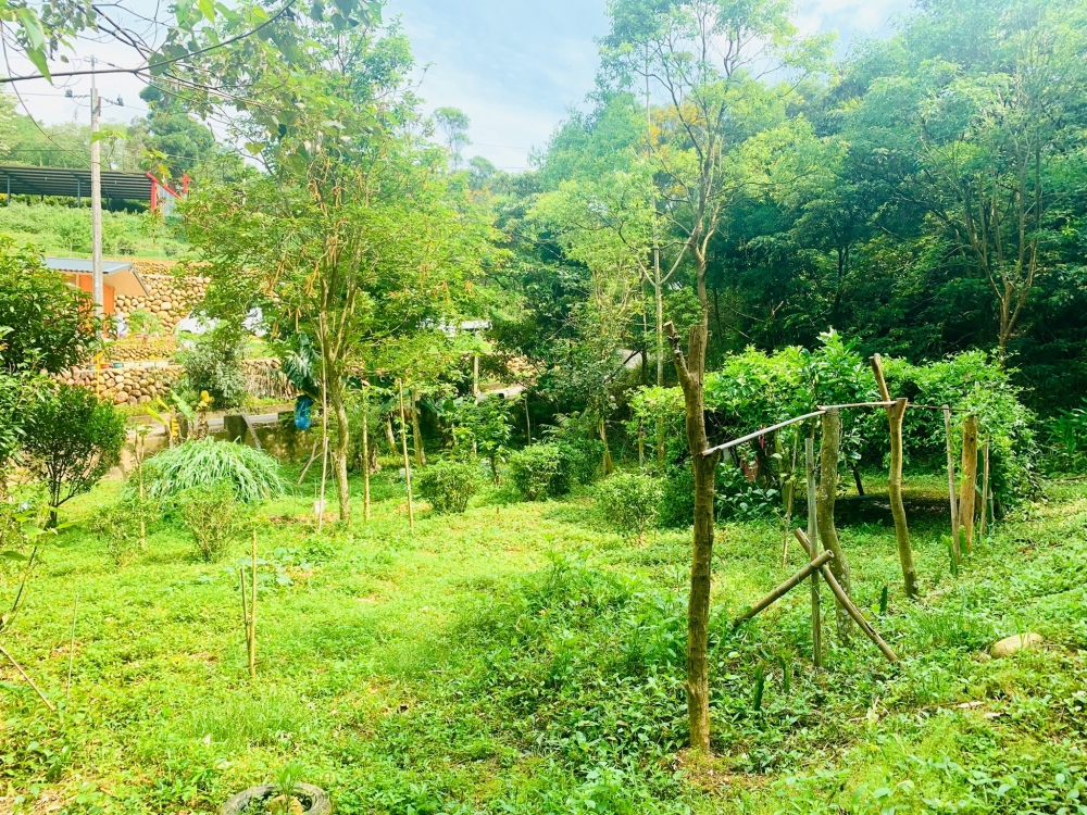 新埔清靜養生休閒農地~臨路