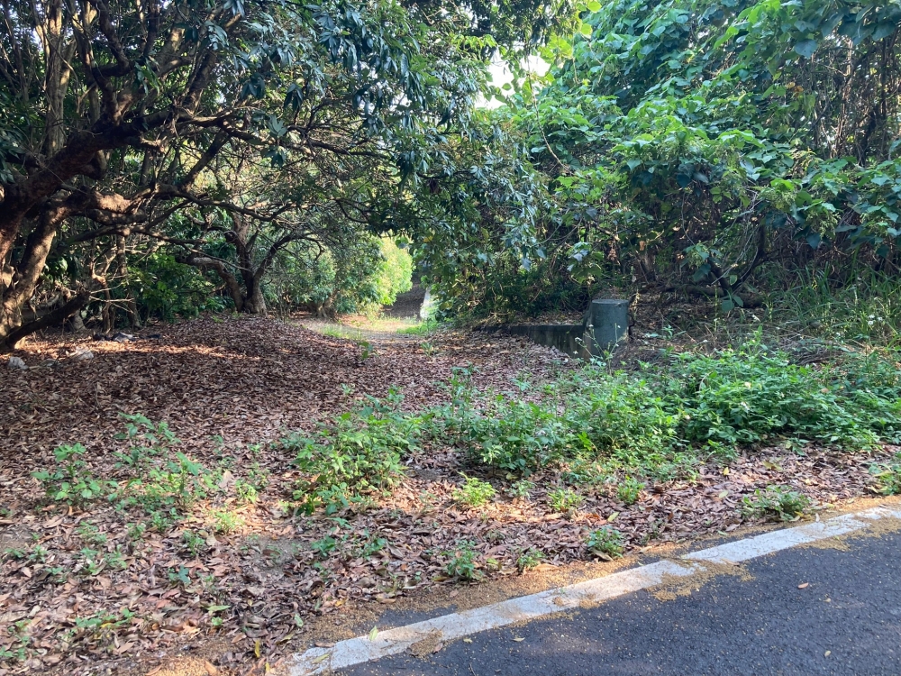 福田維新路農牧用地0987-092686蔡逸蓁