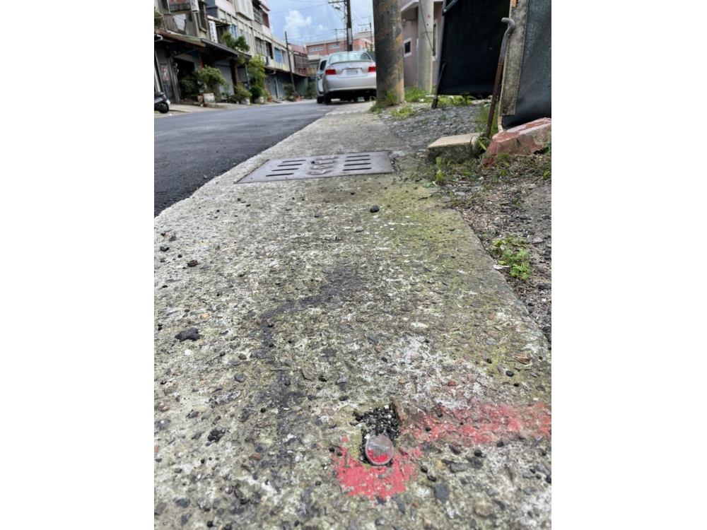 大溪正路旁農地