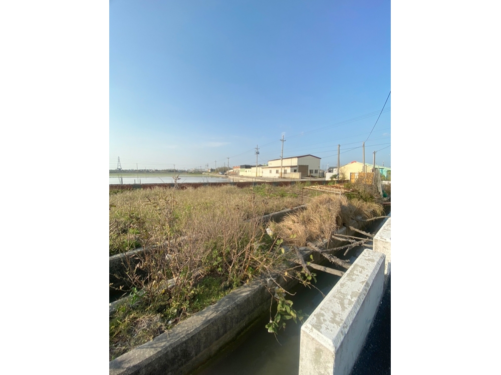 線西大面寬建地