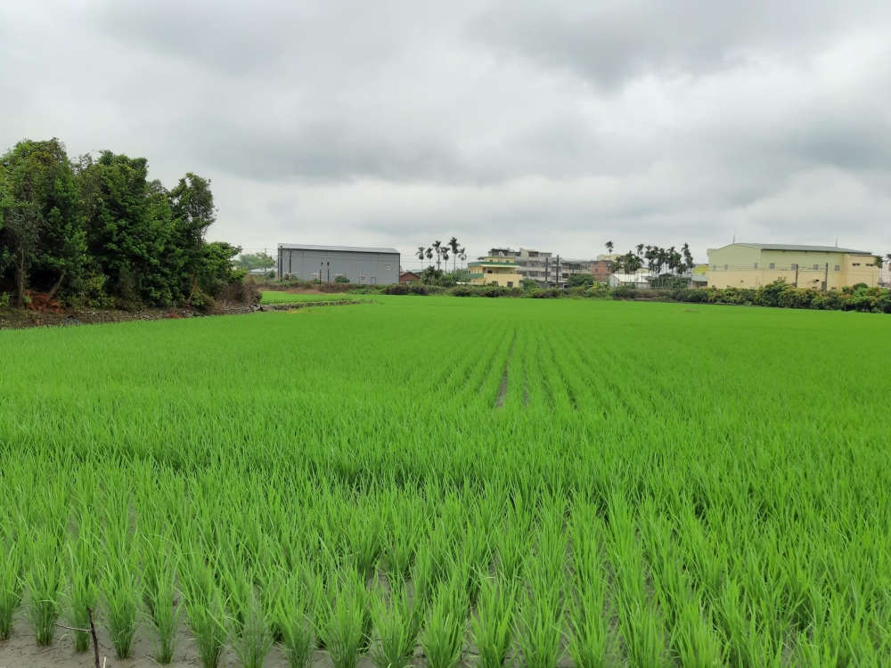 ★★雲林正20米路工業用地