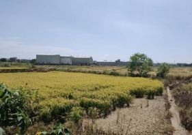 桃園綠線捷運G13a徵收農地