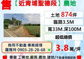 【近青埔聖德段】臨路3.5米超低總價超值農地