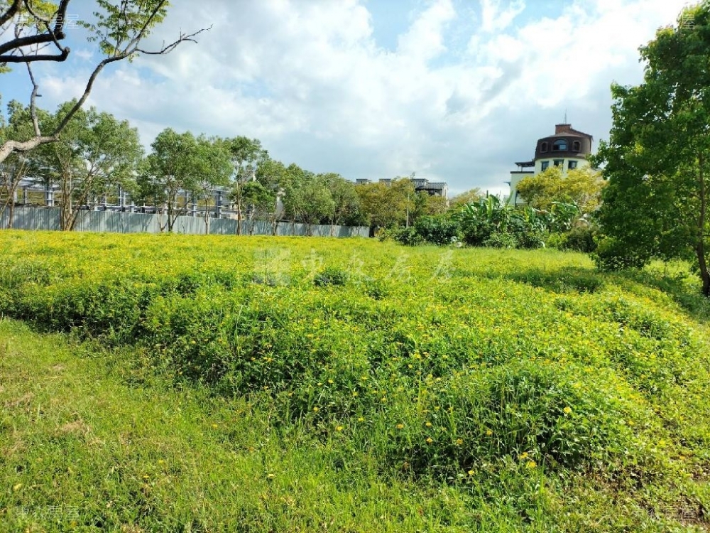 ★（推薦優質可投）【稀有縣政方正雙面路463建地】